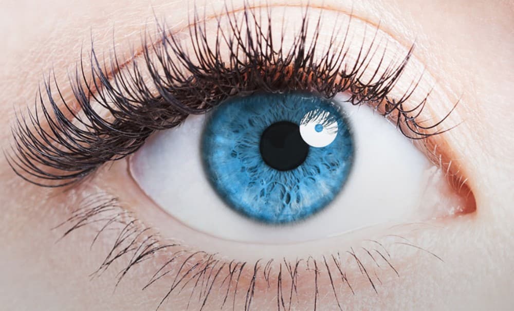 eye