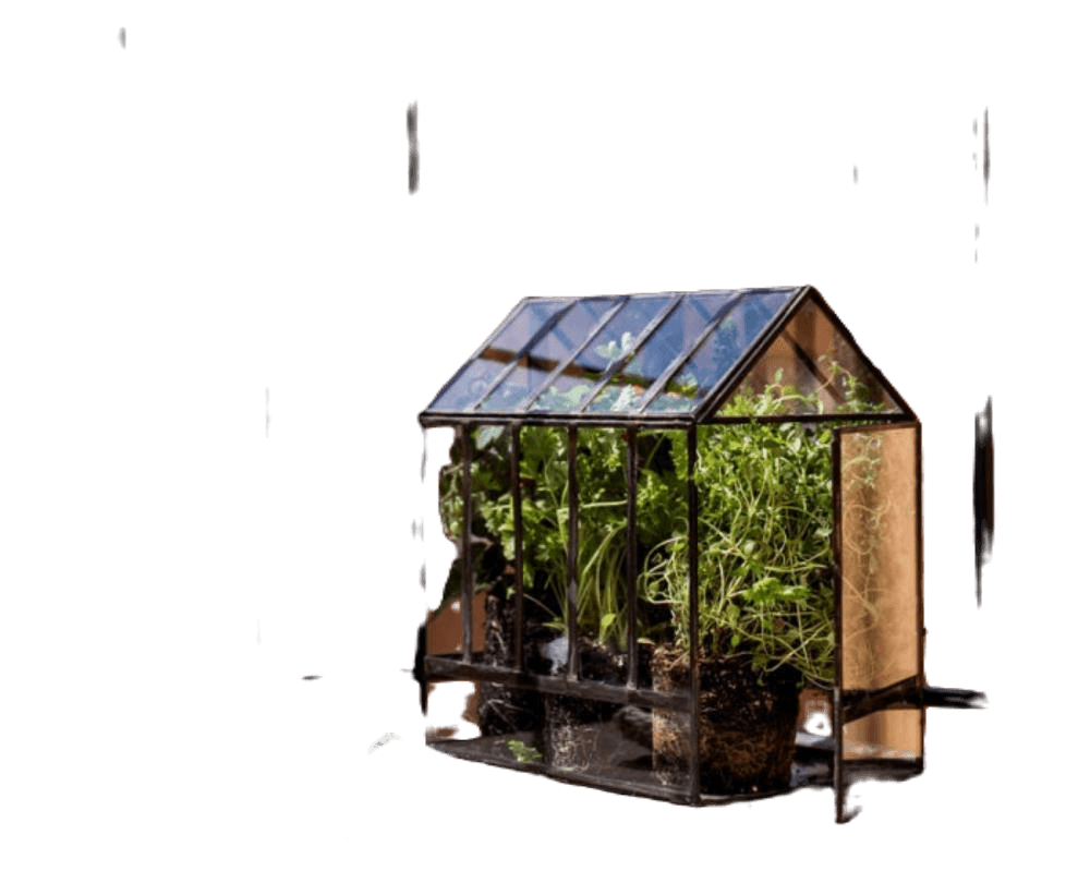 Greenhouse Glass/Metal Black
